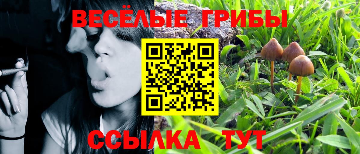 Псилоцибиновые грибы MAGIC MUSHROOMS  Вход с VPN  Кстово 