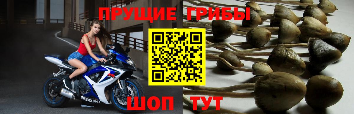 Псилоцибиновые грибы прущие грибы Кстово