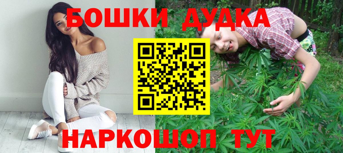 Конопля сатива Кстово